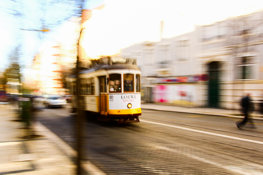 Entre fado y librerías; Lisboa